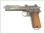 Steyr-Hahn M1912 WW II with 200 rds ammo - 2 of 4