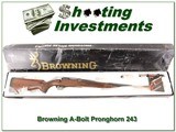 Browning A-Bolt Pronghorn Hi-Grade 243 ANIB! - 1 of 4