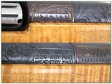 Weatherby Mark V Varmintmaster Crown Custom 224! - 4 of 4