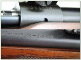 Winchester Model 70 pre-64 1962 243 Varmint Exc Cond Leupold! - 4 of 4