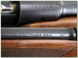 Winchester Model 70 Pre-64 Featherweight 243 made in 1960 collector cond! - 4 of 4