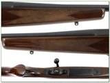 Rare Browning A Bolt 22-250 Rem Hunter 22” - 3 of 4