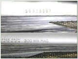 Remington 700 LN Laminated Stainless 300 Win Mag with Leupold - 4 of 4