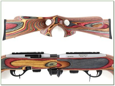 Remington 597 Targert 22 LR RARE factory carbon barrel by Volquartson custom - Image 2 of 4