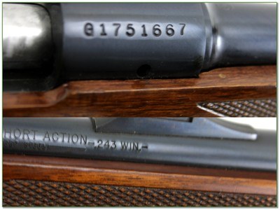 Winchester Model 70 Carbine Short Action 243 Win 20” Rifle 1984 - Image 4 of 4