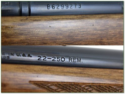 Remington Model 700 BDL Varmint Special 22-250 Rem 24” HB 1981 Like New - Image 4 of 4