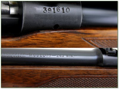 Winchester Model 70 Pre 64 243 Win 24” Rifle 1955 w Scope Excellent - Image 4 of 4