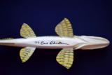 Carl Christiansen hand carved & painted Norther Pike fish spearing decoy. - 9 of 9