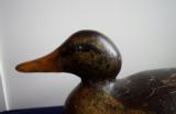 Mallard Hen Duck Decoy by Mason Decoy Factory - 5 of 6