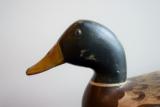 Mallard Drake Duck Decoy by Robert Elliston - 2 of 8