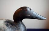 Canvasback Drake Duck Decoy by Mason Decoy Factory - 5 of 8