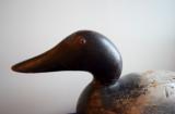 Canvasback Drake Duck Decoy by Mason Decoy Factory - 3 of 8