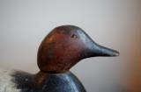 Canvasback Drake Duck Decoy by Mason Decoy Factory. - 2 of 7