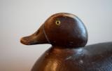 Bluebill Hen Duck Decoy by 