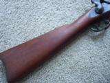 Springfield Trapdoor 1873 infantry musket, ladder sight, inspect cartouche' 1881 refurb, Star marking on breach.- 3 of 14