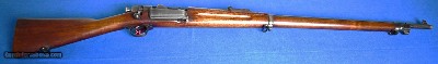 Springfield 1898 Krag 1900