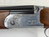 Fausti Highland Competition 2018 Very Nice! - 3 of 22