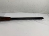Fausti Highland Competition 2018 Very Nice! - 15 of 22