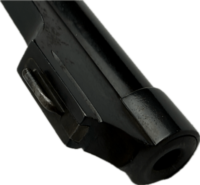 Weatherby (Sauer) Europa .240 Magnum - Image 18 of 19