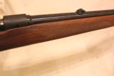 Winchester Model 70 Pre-64 Featherweight .308
- 7 of 9
