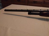 Win Model 12 Gorgeous 12 ga Sporting Clays or Hunting - 12 of 15