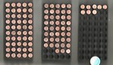 101 .32 Rimfire Short and Long Cartridges