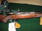 Winchester Model 70 Classic Sporter Super Express Magnum .375 H&H. - 6 of 7