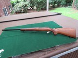 Winchester Model 70 Pre-64 243 Win Varmint - 6 of 12