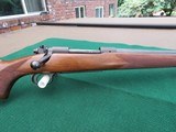 Winchester Model 70 Pre-64 243 Win Varmint - 3 of 12