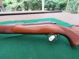 Winchester Model 70 Pre-64 243 Win Varmint - 8 of 12