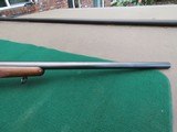 Winchester Model 70 Pre-64 243 Win Varmint - 5 of 12