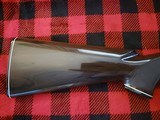REMINGTON NYLON model 11 short,long,long rifle - 4 of 10