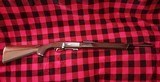 REMINGTON NYLON model 11 short,long,long rifle - 1 of 10