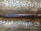 Winchester model 70, African, Super Grade,
458 Winchester Magnum - 7 of 11