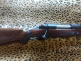 Winchester model 70, African, Super Grade,
458 Winchester Magnum - 6 of 11