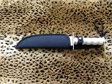 Unknown, new stainless steel 8 in blade hunting knife