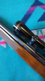 Weatherby mark V, 7MM Weatherby Magnum, 26in barrel - 8 of 11