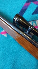 Weatherby mark V, 7MM Weatherby Magnum, 26in barrel - 10 of 11
