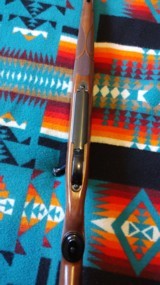 Winchester model 70 featherweight, new & unfired - 4 of 14