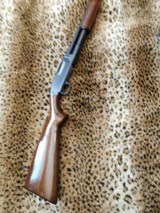Winchester Model 12, 20 gauge
