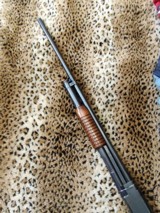Winchester Model 12, 20 gauge - 4 of 7