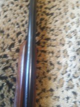 Winchester model 70, pre 64 , 338 Winchester Magnum - 11 of 12