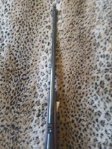 New in the box Browning A Bolt I I, 375 H&H Magnum - 7 of 15