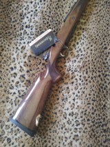 New in the box Browning A Bolt I I, 375 H&H Magnum - 2 of 15