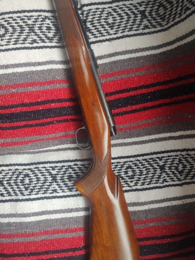 Winchester model 70, pre 64 , 338 Winchester Magnum