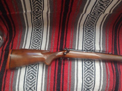 Winchester model 70, pre 64 , 338 Winchester Magnum