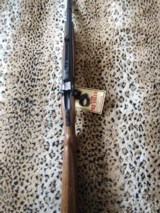 Ruger #1 S , Craig Boddington, Elephant, NIB - Image 13 of 15
