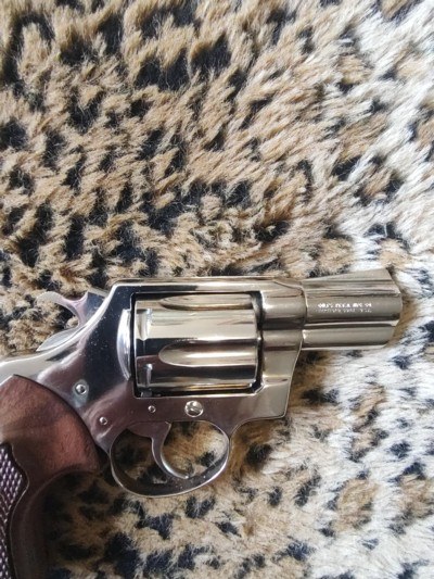 Like new Colt Cobra , nickel plated , Roy Clark estate gun - Image 8 of 10