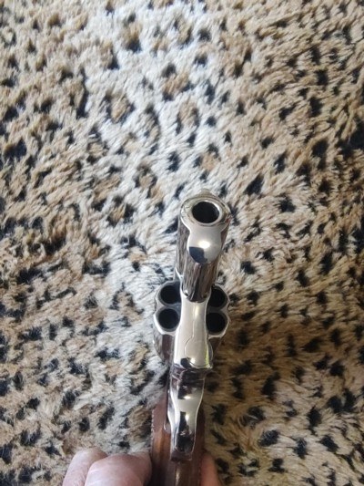 Like new Colt Cobra , nickel plated , Roy Clark estate gun - Image 9 of 10