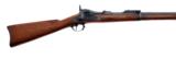Springfield - 1878 - .45-70 caliber - 5 of 5